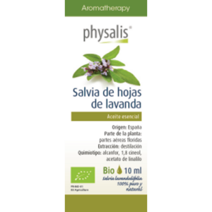 Salvia de hojas de lavanda