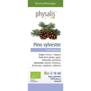 Pino sylvestre