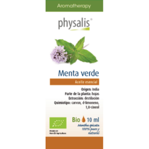 Menta verde