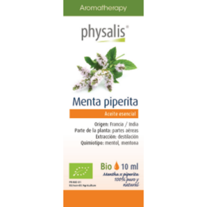 Menta piperita