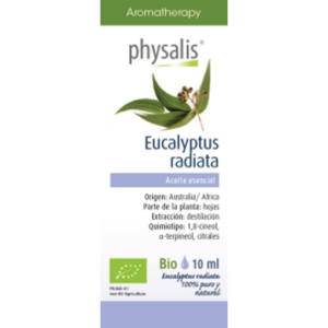 Eucalyptus radiata
