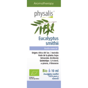 Eucalyptus smithii