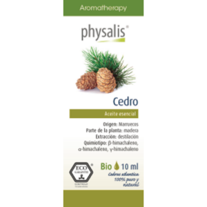 Cedro